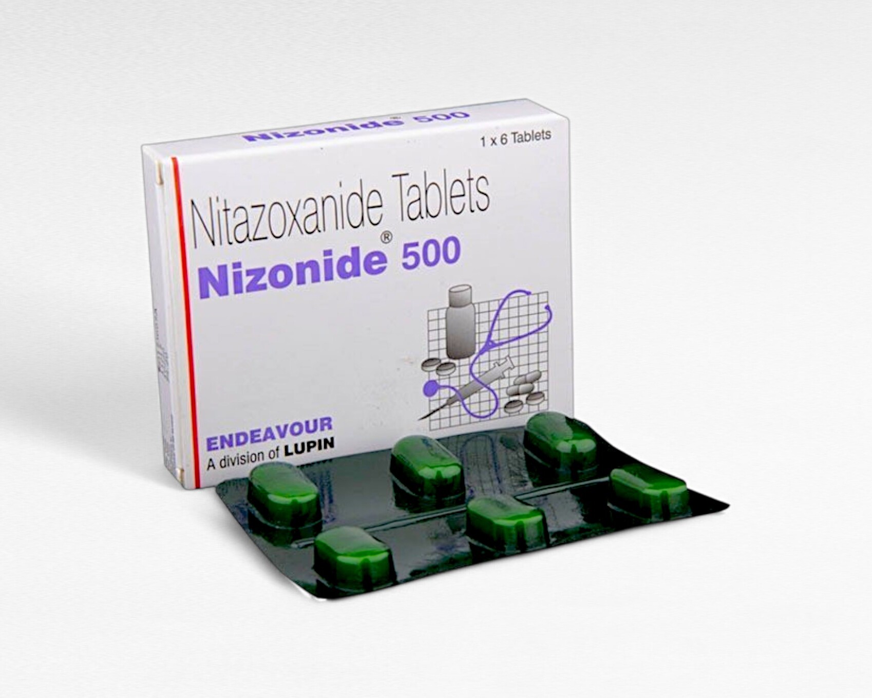 니조나이드 500mg