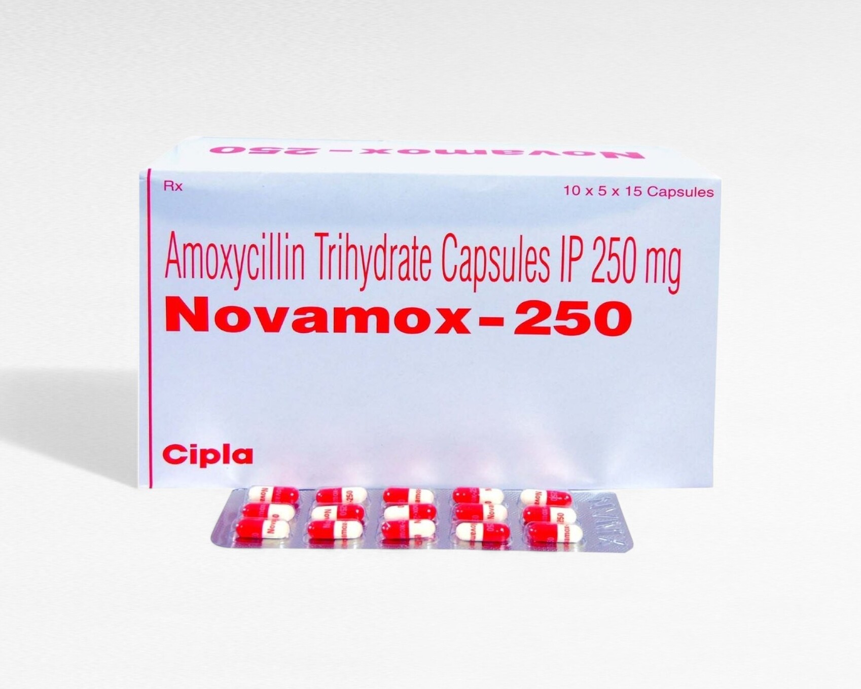 노바목스 250mg